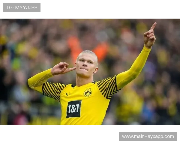 哈兰德终结效率持续在线