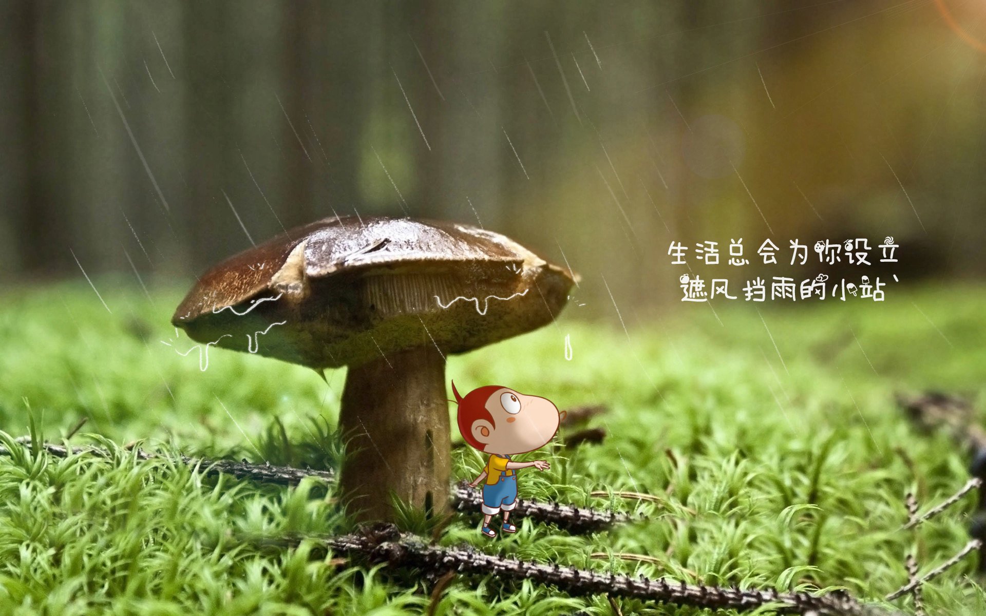 中超球队技战术风格融合速度排行，中超各球队阵容